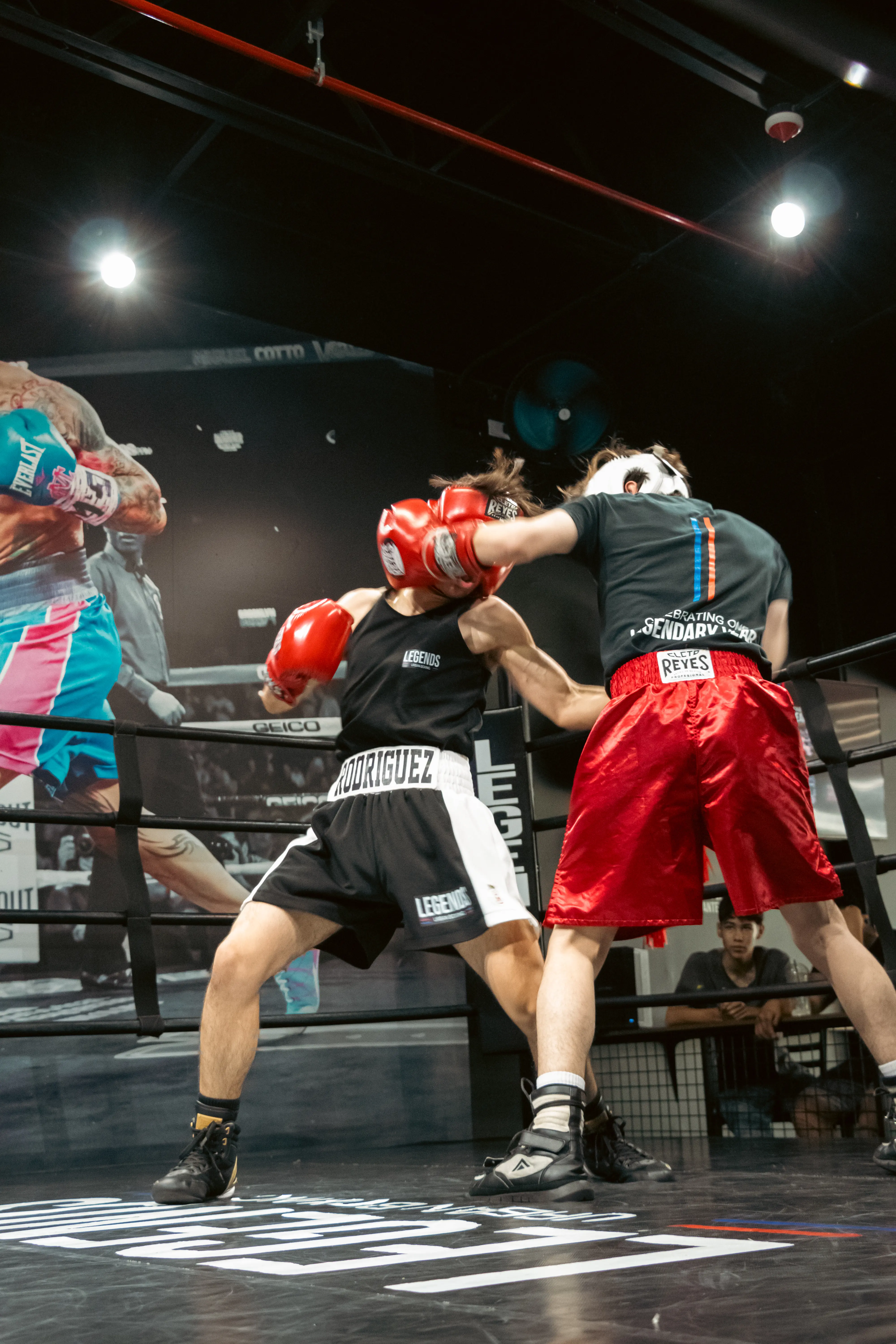 Legends Urban Boxing®